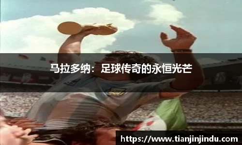 威九国际app
